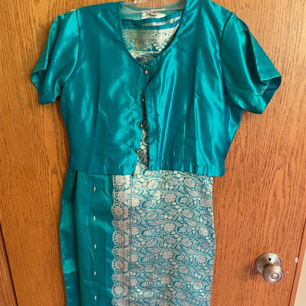 Authentic Indian Sari Girls (size 12). Exquisite details.